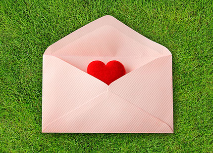 MilleMercisMariage - Annuaires de Mariage