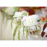 Annuaire mariage
