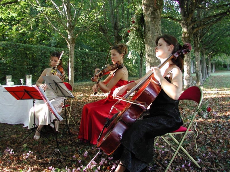 MilleMercisMariage - Annuaires de Mariage