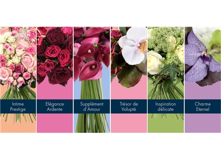 Prestataire - Résultat pour un prestataire à proximité de paris