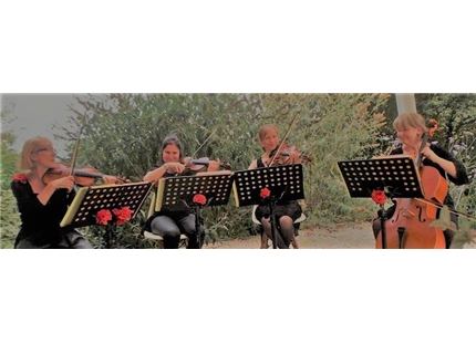 Prestataire - Résultat pour un prestataire à proximité de perigueux