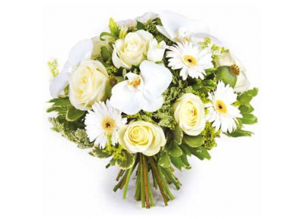 Prestataire - Résultat pour un prestataire à proximité de manosque