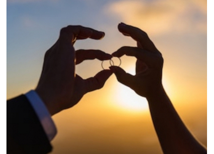 Prestataire - Wedding Planner