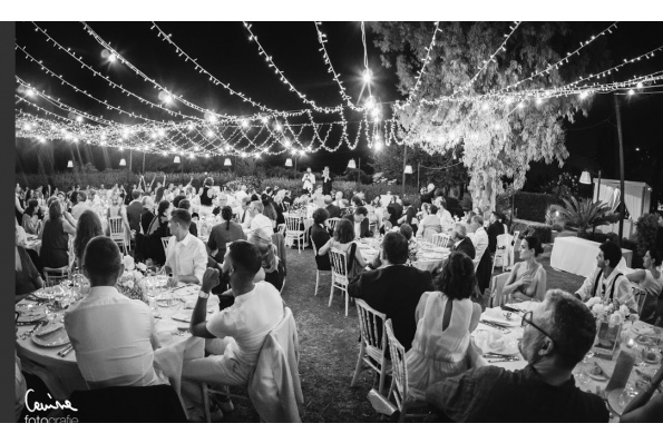 MilleMercisMariage - Annuaires de Mariage