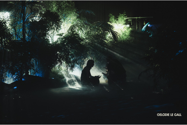 MilleMercisMariage - Annuaires de Mariage