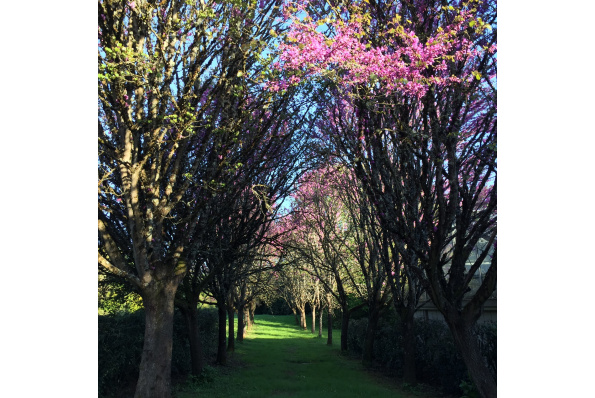 MilleMercisMariage - Annuaires de Mariage