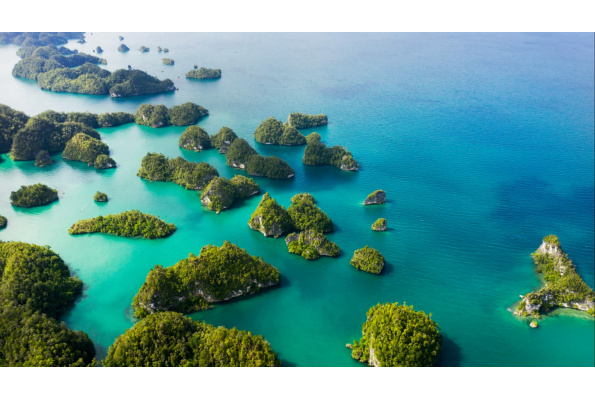 MilleMercisMariage - Cadeau