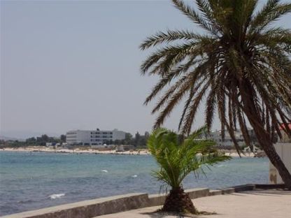 Photos