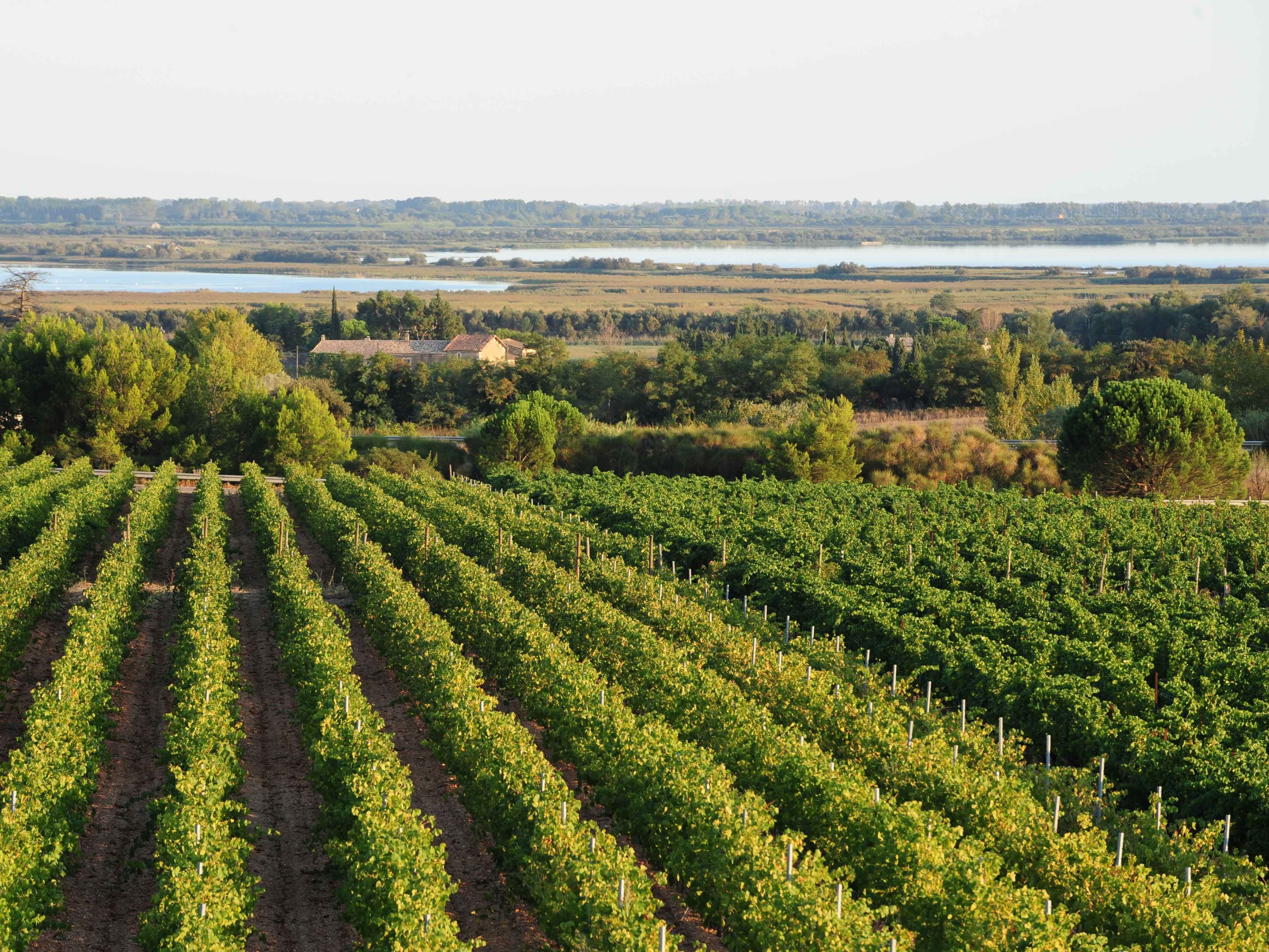 MilleMercisMariage - Liste de mariage