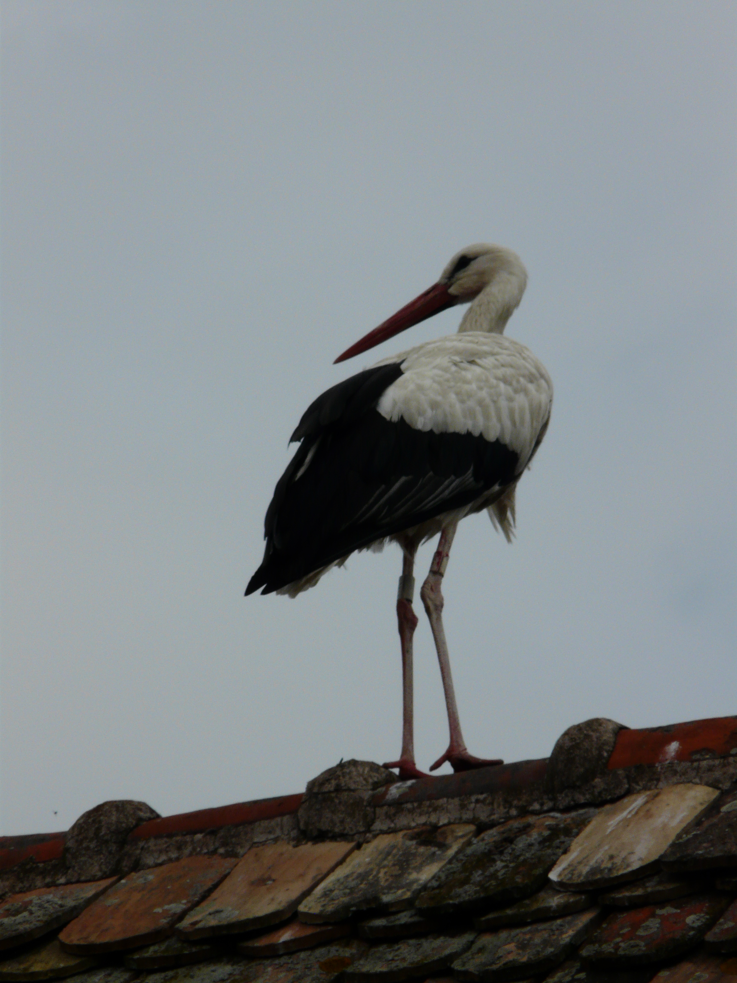 MilleMercisMariage - Liste de mariage