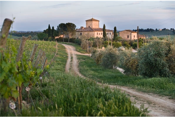 Bienvenue sur le site de notre mariage