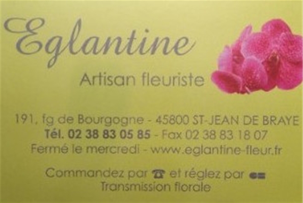 Photos