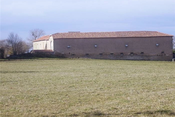 Photos