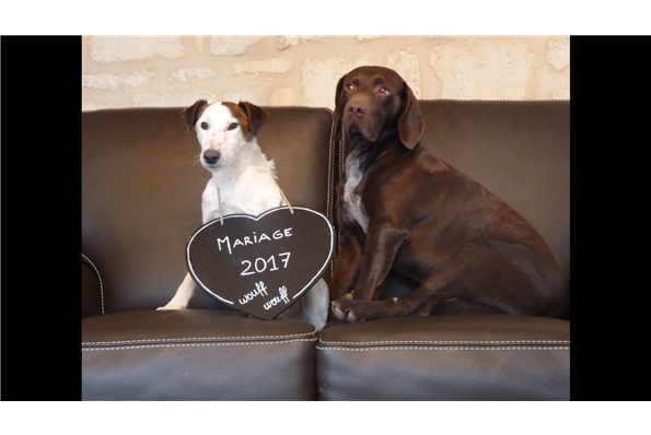 Bienvenue sur le site de notre mariage