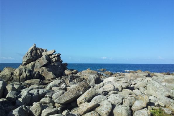 Photos