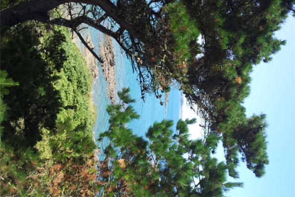 Photos