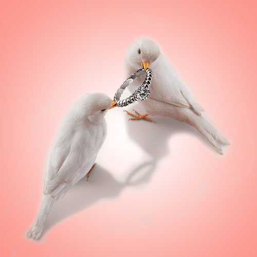 MilleMercisMariage - Liste de mariage