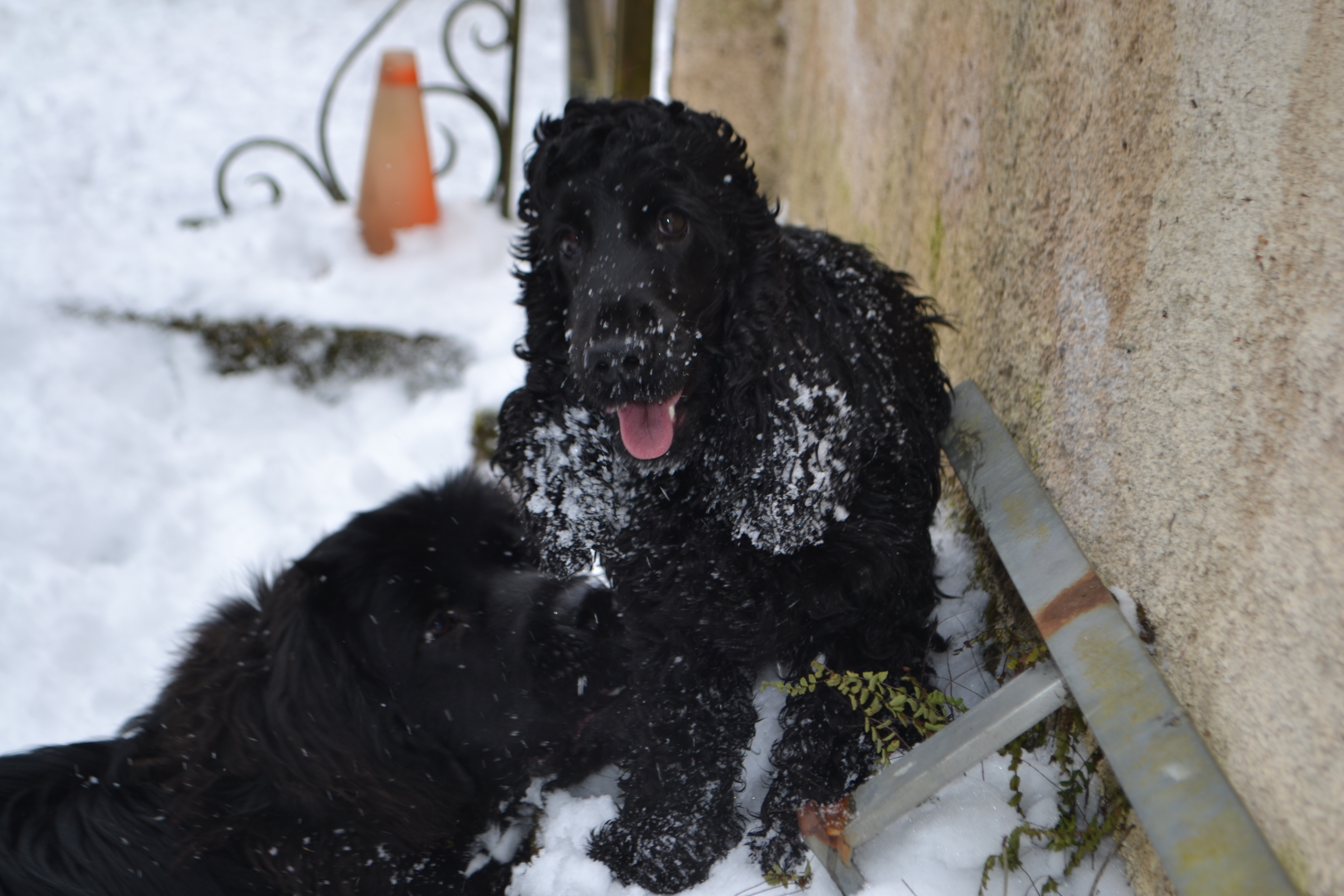 MilleMercisMariage - Liste de mariage