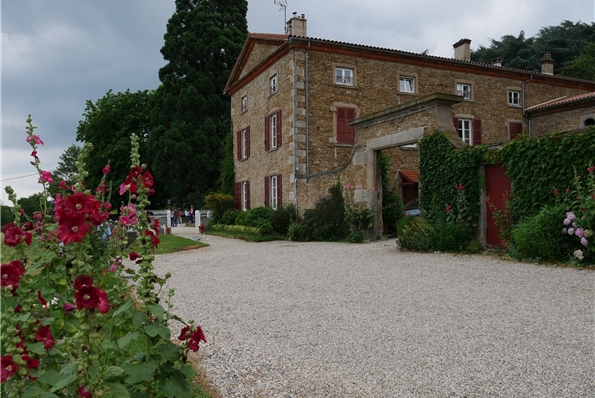 Photos