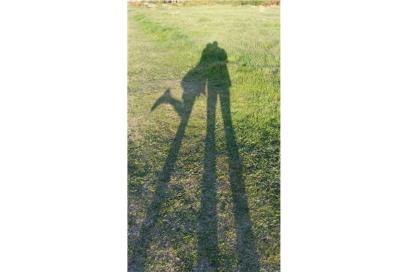 Photos