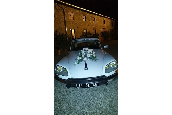 Photos