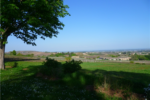 Photos