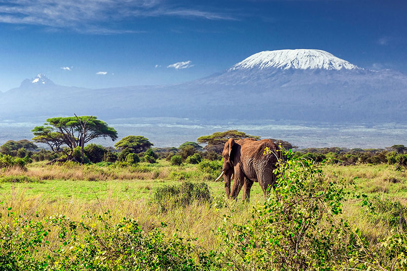 MilleMercisMariage - Liste de mariage