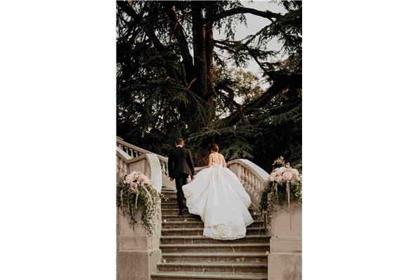 Photos