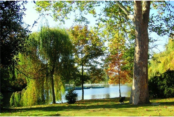 Bienvenue sur le site de notre mariage
