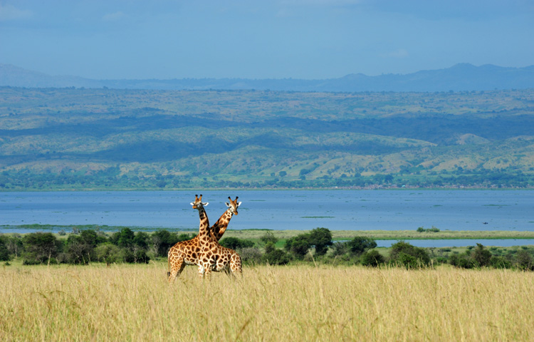 MilleMercisMariage - Liste de mariage