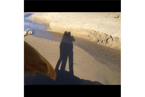 Photos