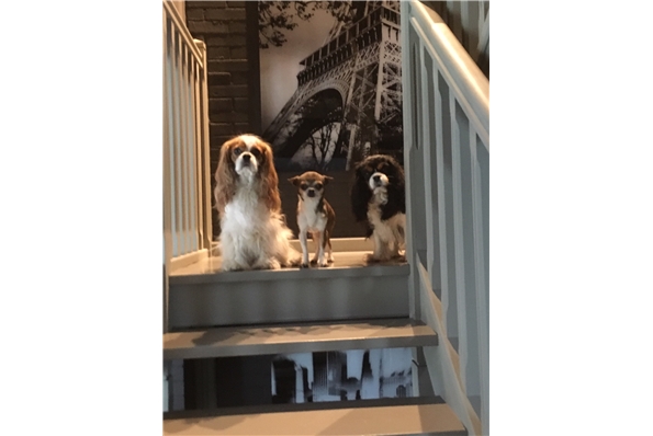 Photos