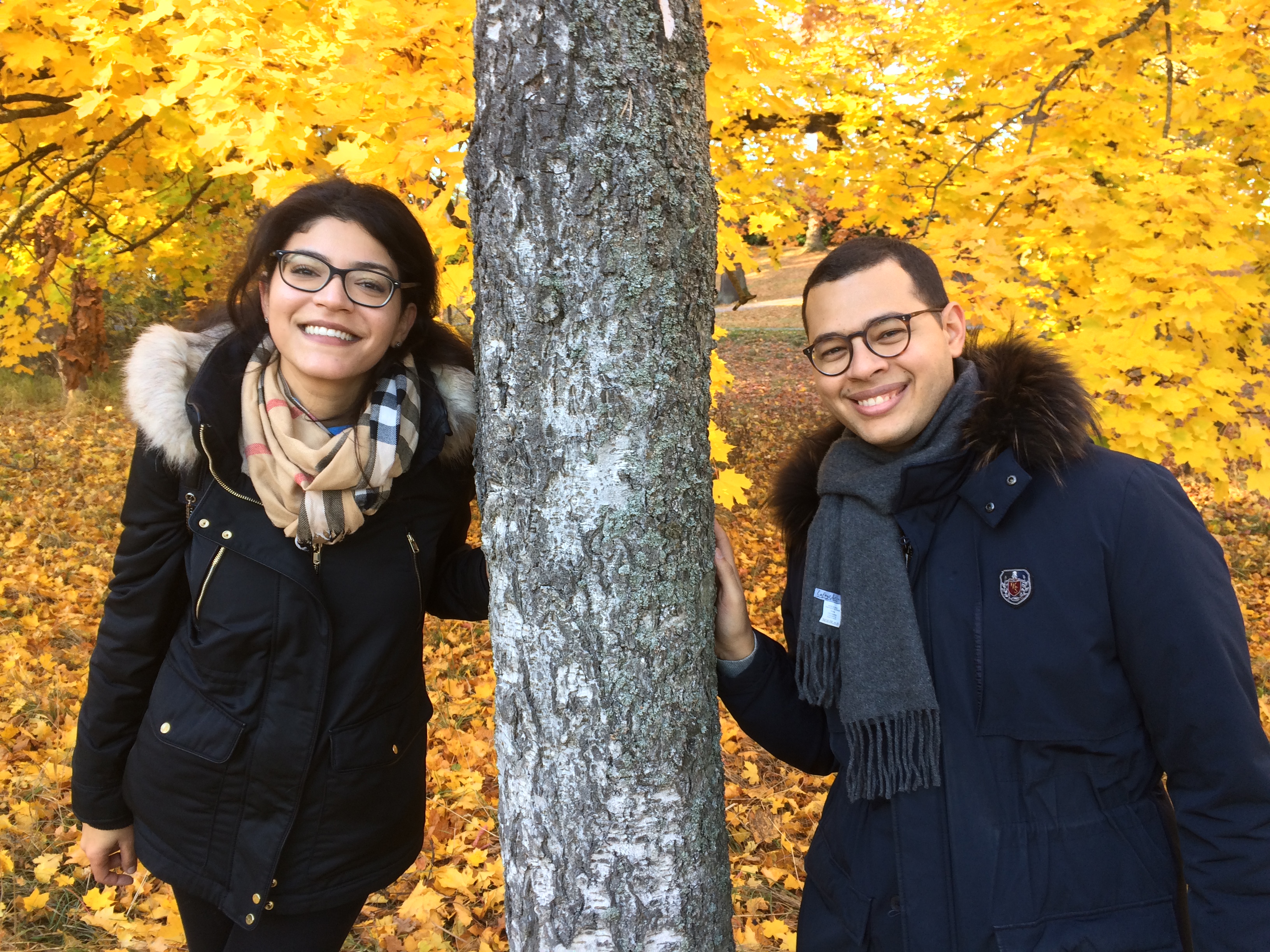 MilleMercisMariage - Liste de mariage