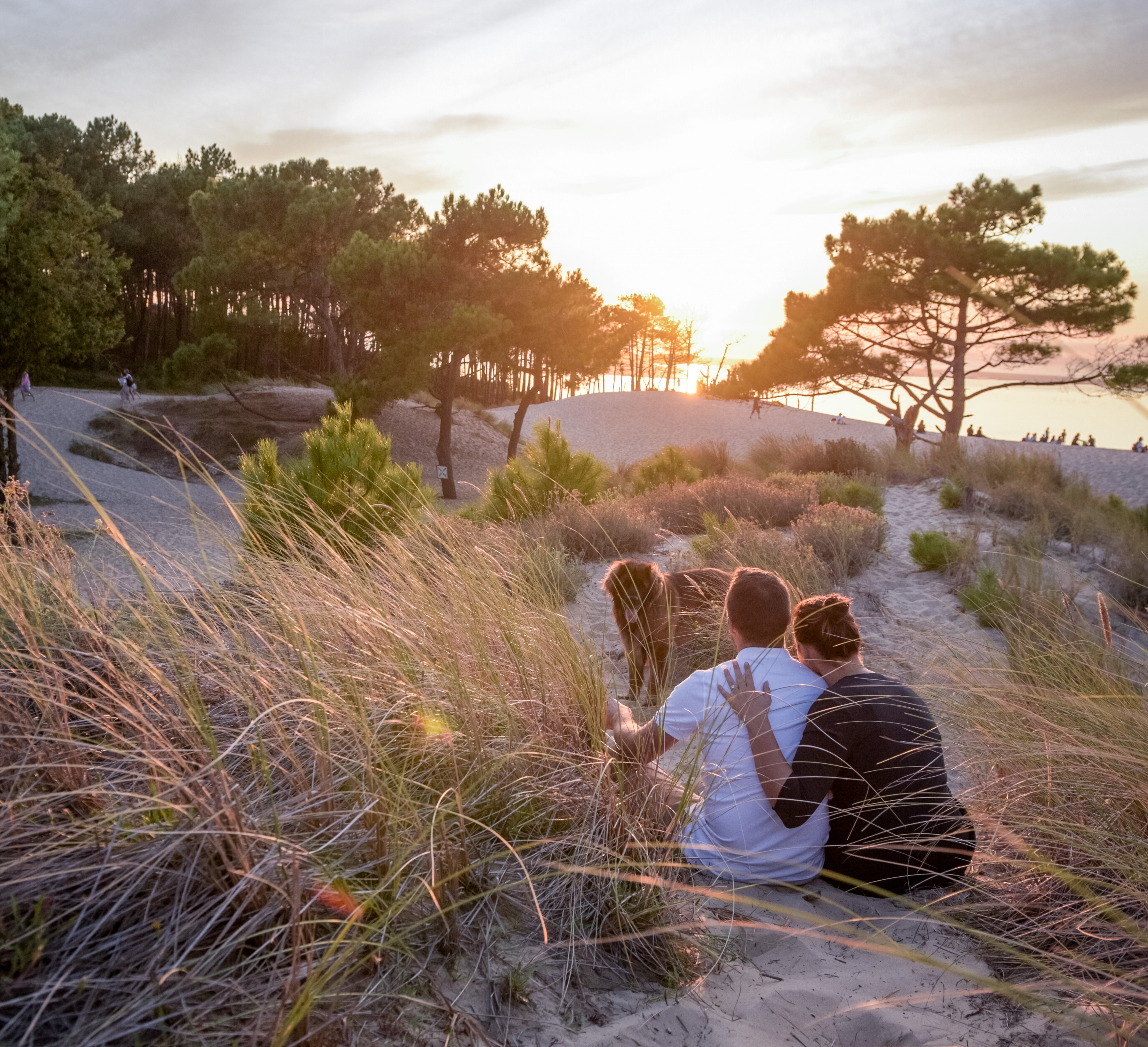 MilleMercisMariage - Liste de mariage