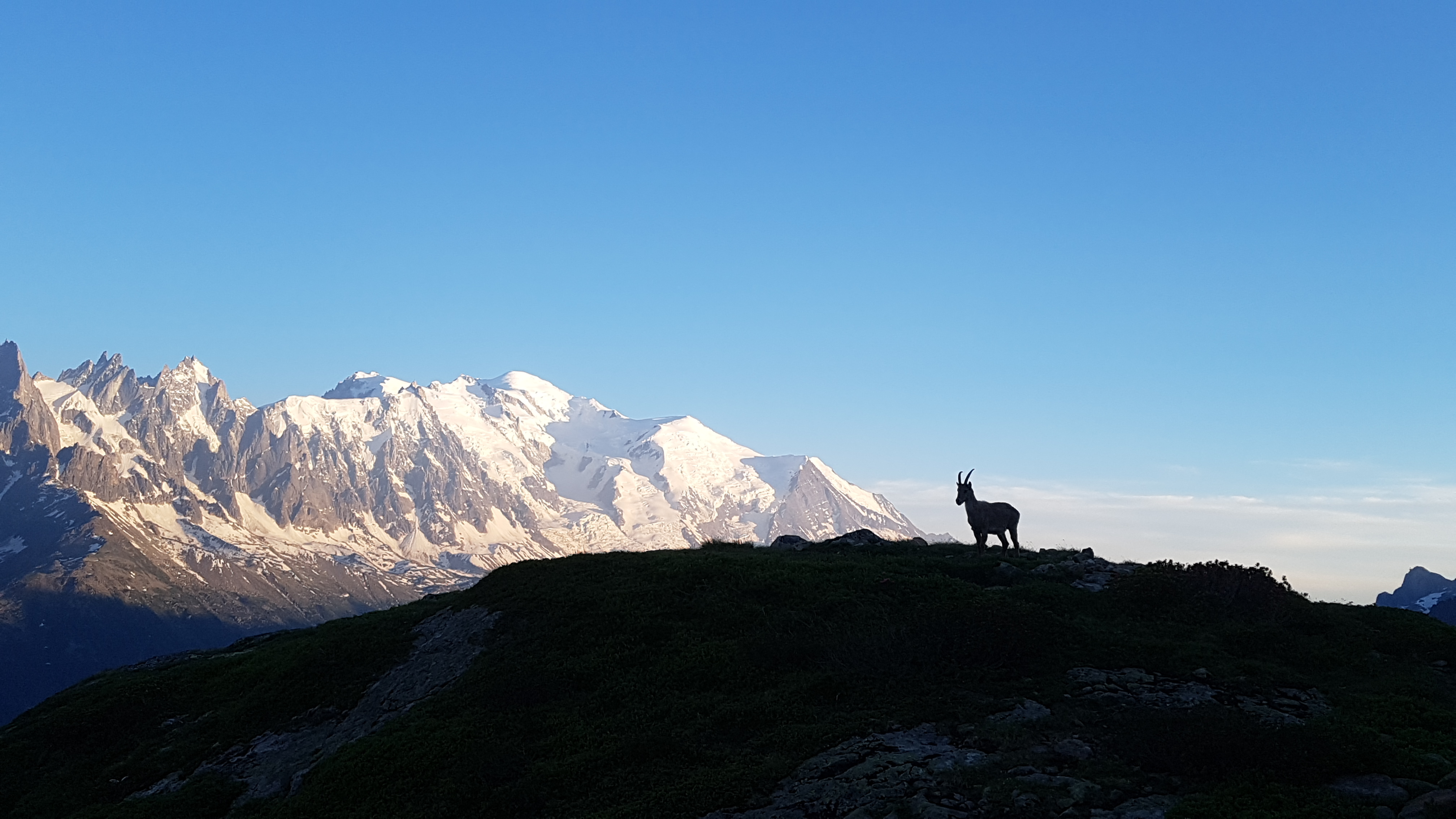 MilleMercisMariage - Liste de mariage