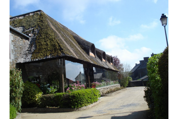 Photos