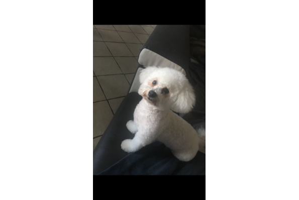 Photos