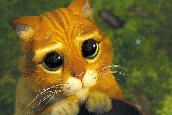 MilleMercisMariage - Liste de mariage