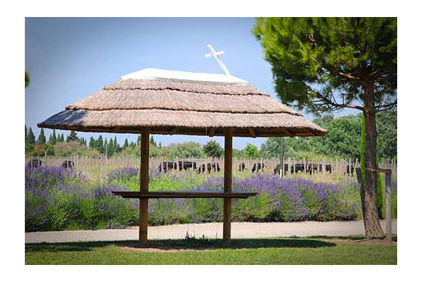 Bienvenue sur le site de notre mariage