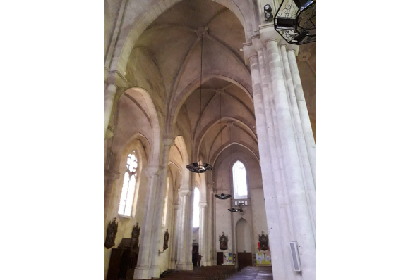 Photos