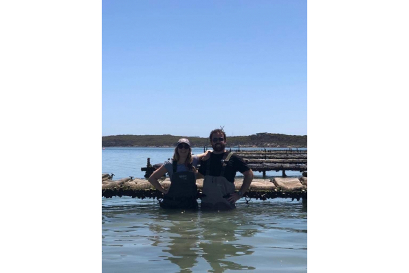 MilleMercisMariage - Liste de mariage