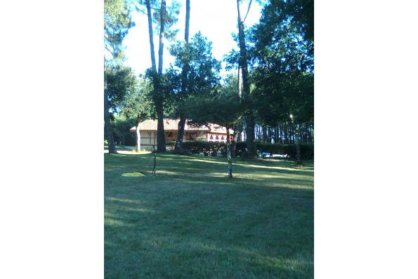 Photos