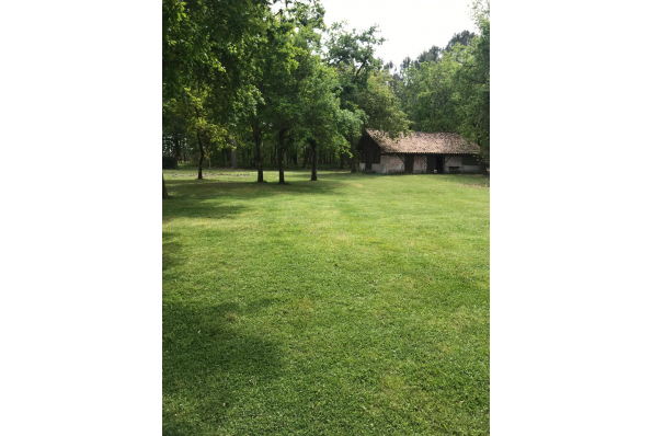 Photos
