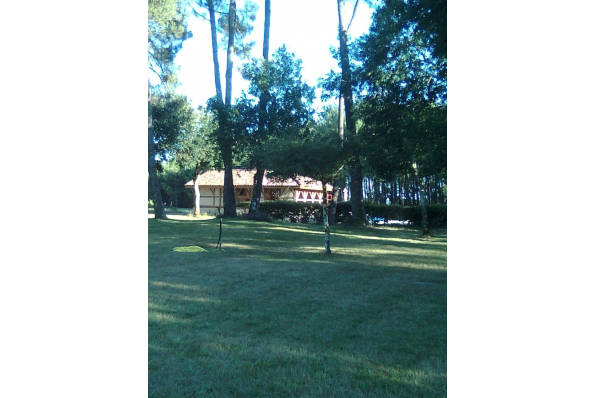 Photos