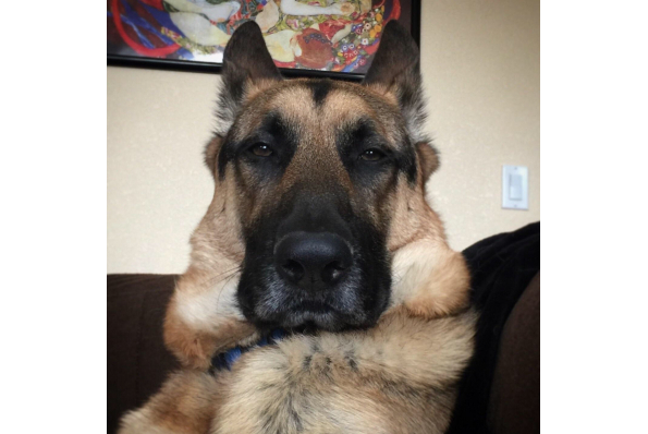 MilleMercisMariage - Liste de mariage