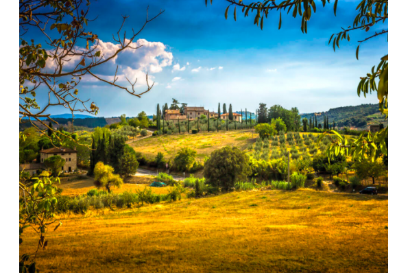 MilleMercisMariage - Liste de mariage