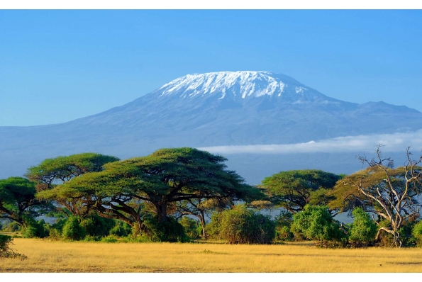 MilleMercisMariage - Liste de mariage