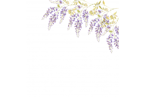 Bienvenue sur le site de notre mariage