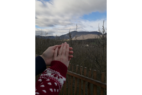 Photos