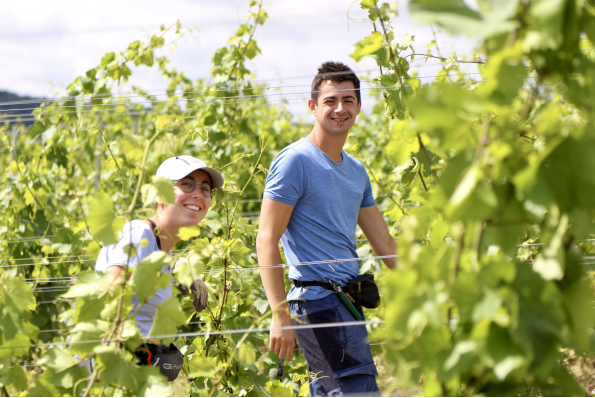 MilleMercisMariage - Liste de mariage